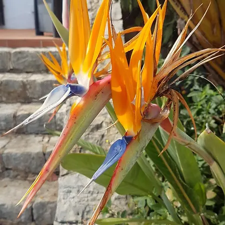 Casa Do Sole Villa *